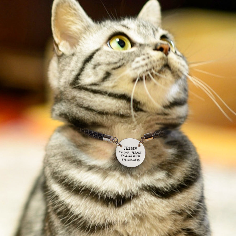 Personalised Collar Engraved Metal Pendant Leather Pet Collar Lovely Pet Gift for Pet Lovers