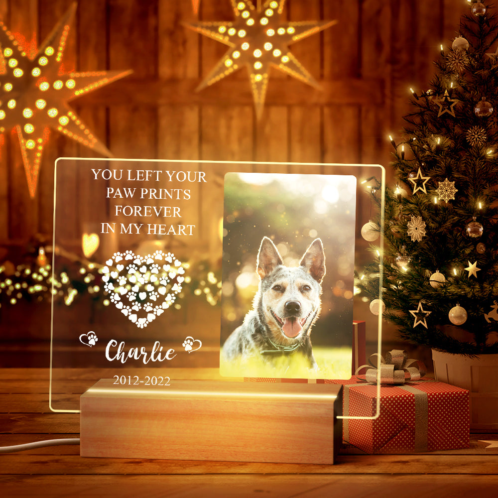 Custom Pet Memorial Night Light Personalised Bedroom Decor