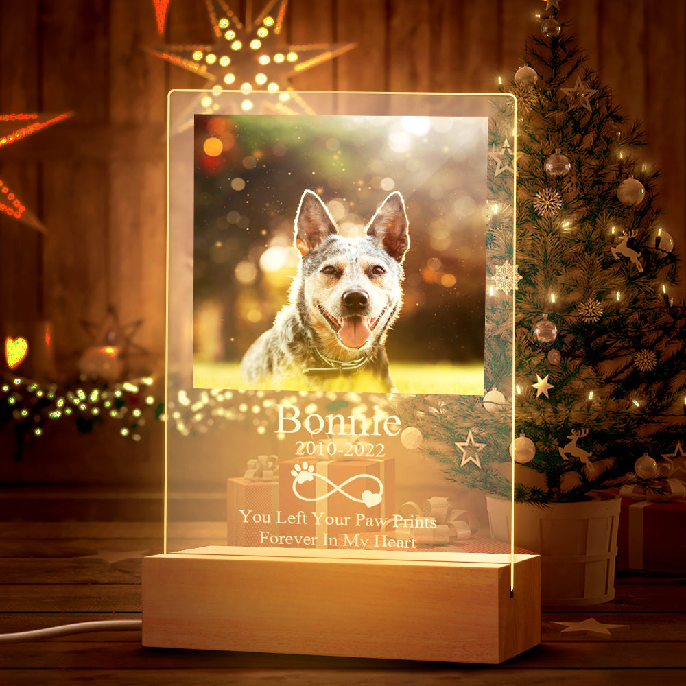 Custom Acrylic Night Light Personalised Pet Dog Memorial Led Lamp