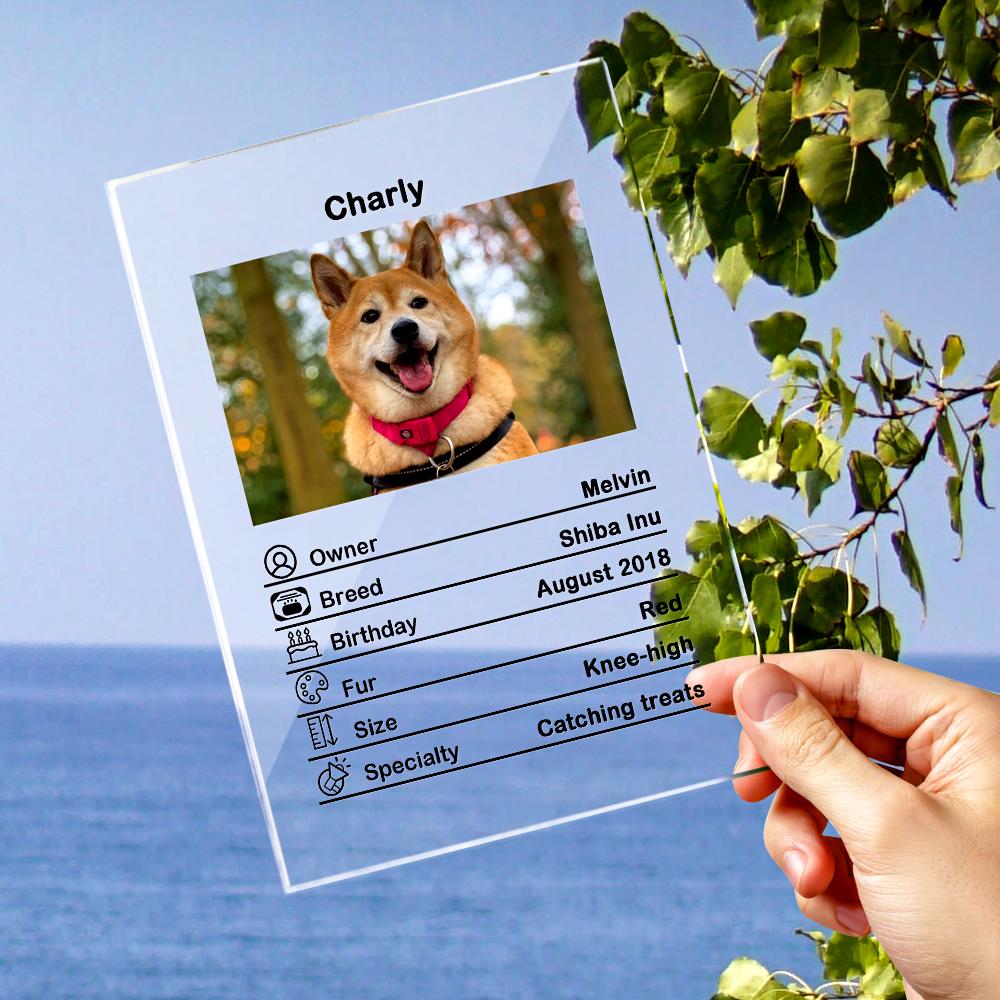 Custom Photo Acrylic Plaque Personalised Pet Information Desk Decorative Ornaments - 12*16cm