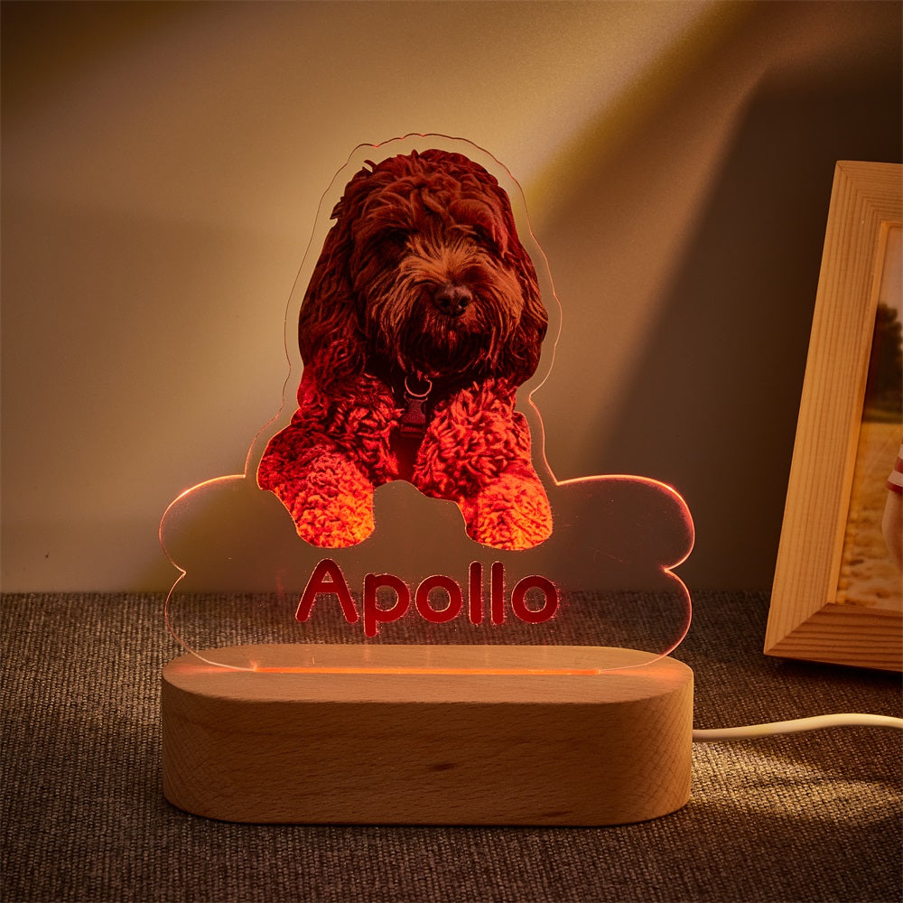 Personalised Pet Shaped LED Night Light Custom Dog Name Table Lamp
