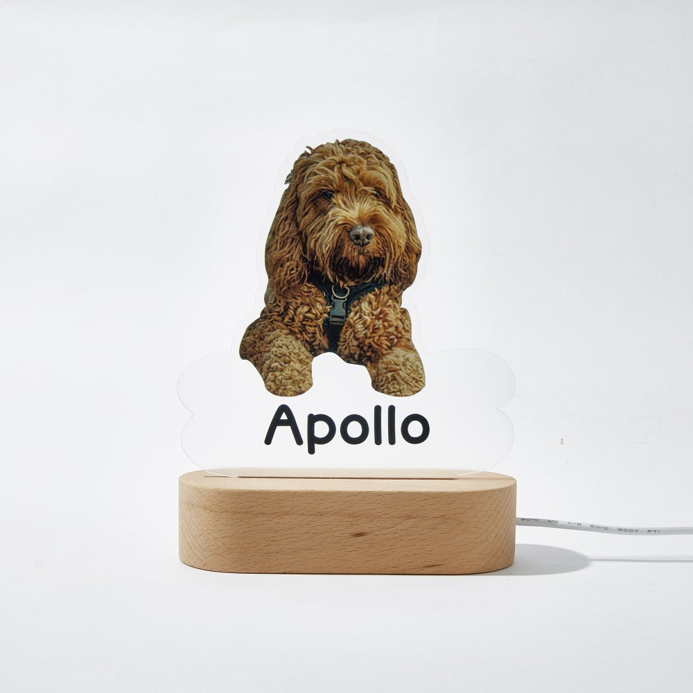 Personalised Pet Shaped LED Night Light Custom Dog Name Table Lamp
