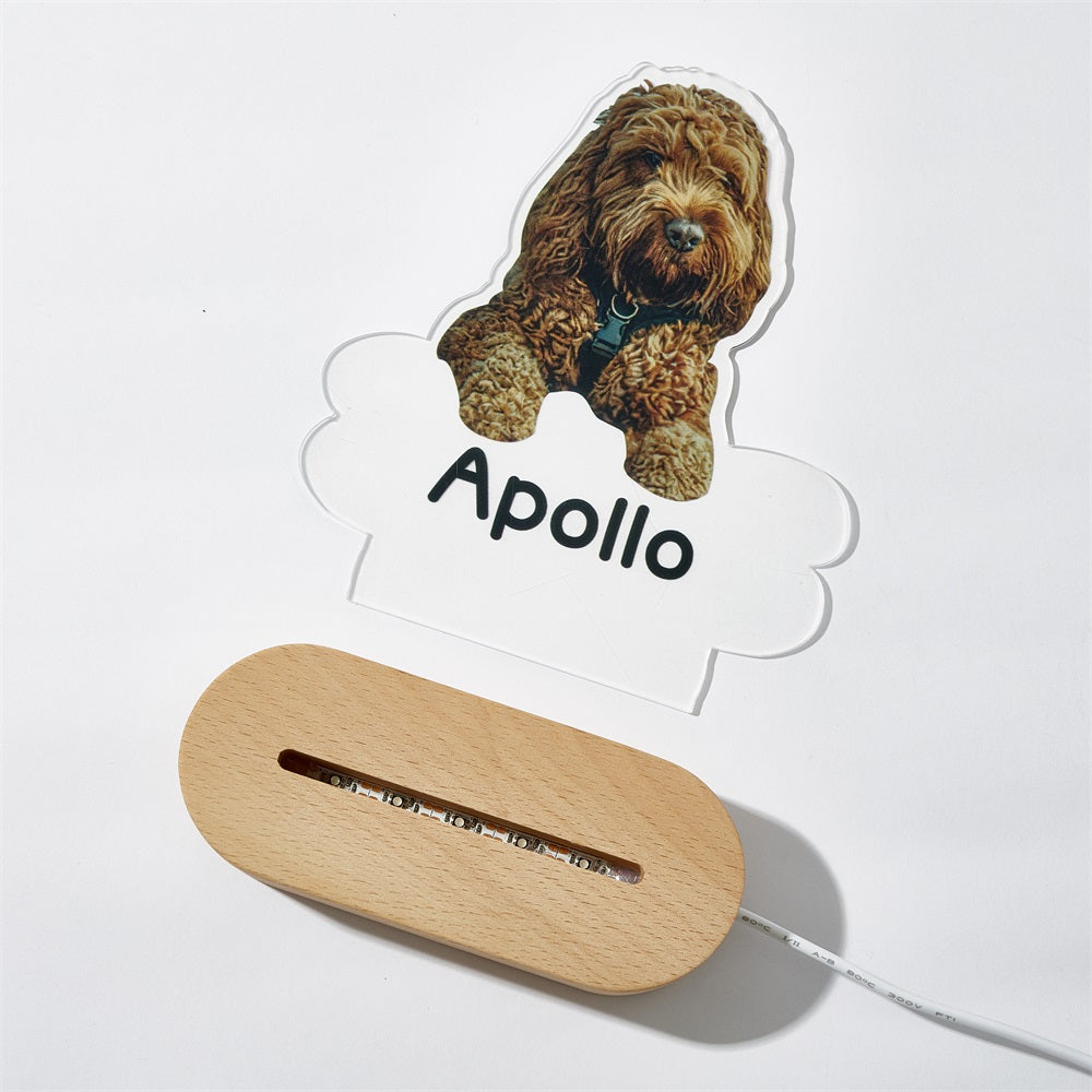Personalised Pet Shaped LED Night Light Custom Dog Name Table Lamp