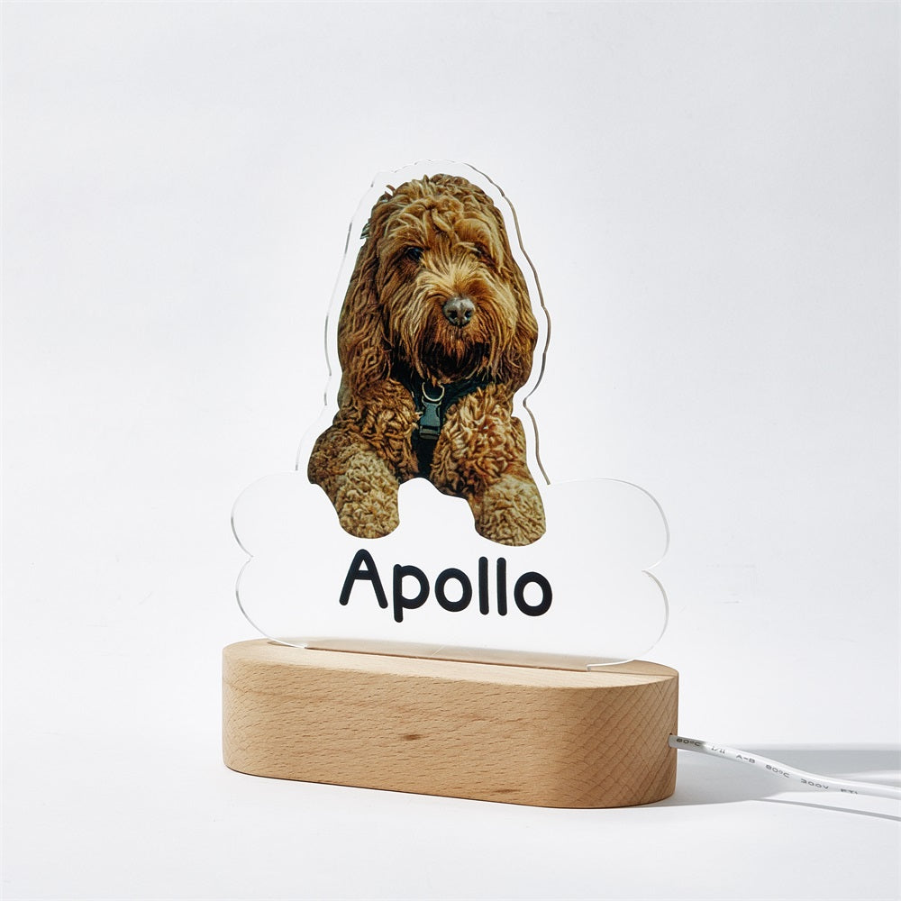 Personalised Pet Shaped LED Night Light Custom Dog Name Table Lamp