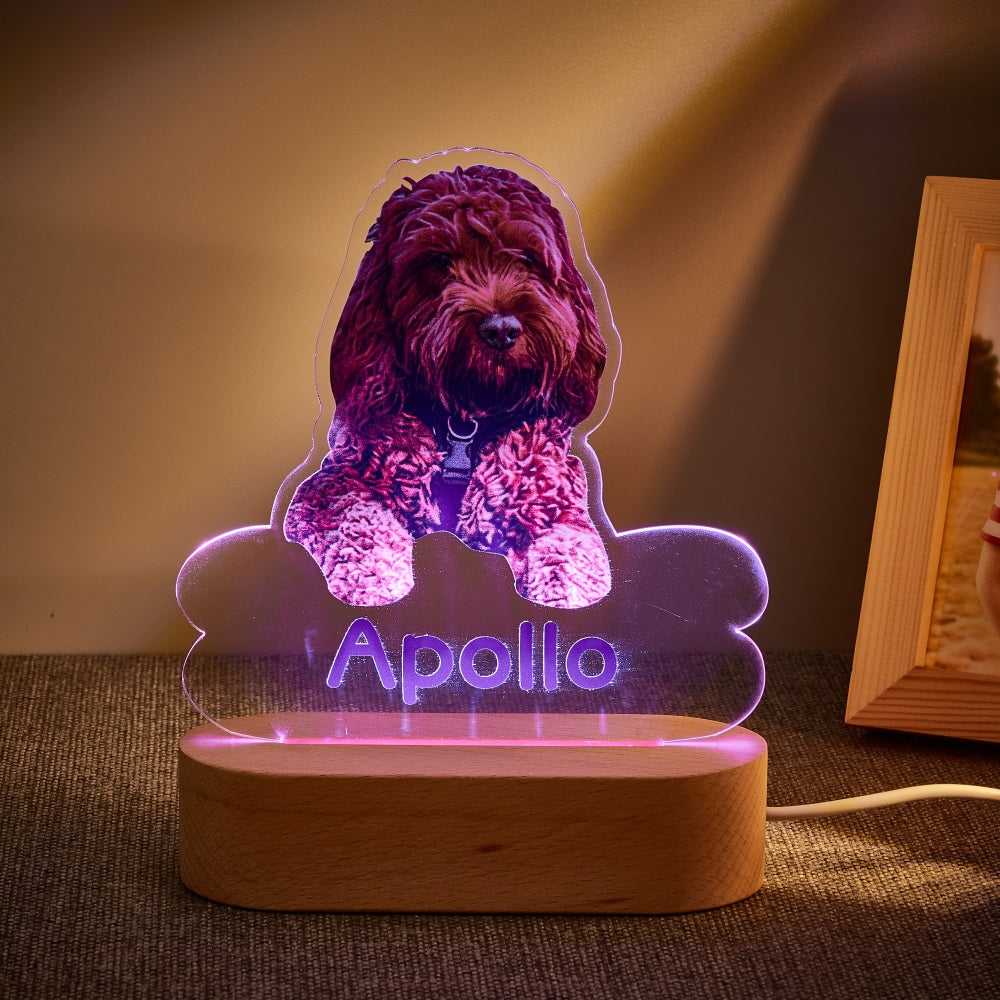 Personalised Pet Shaped LED Night Light Custom Dog Name Table Lamp