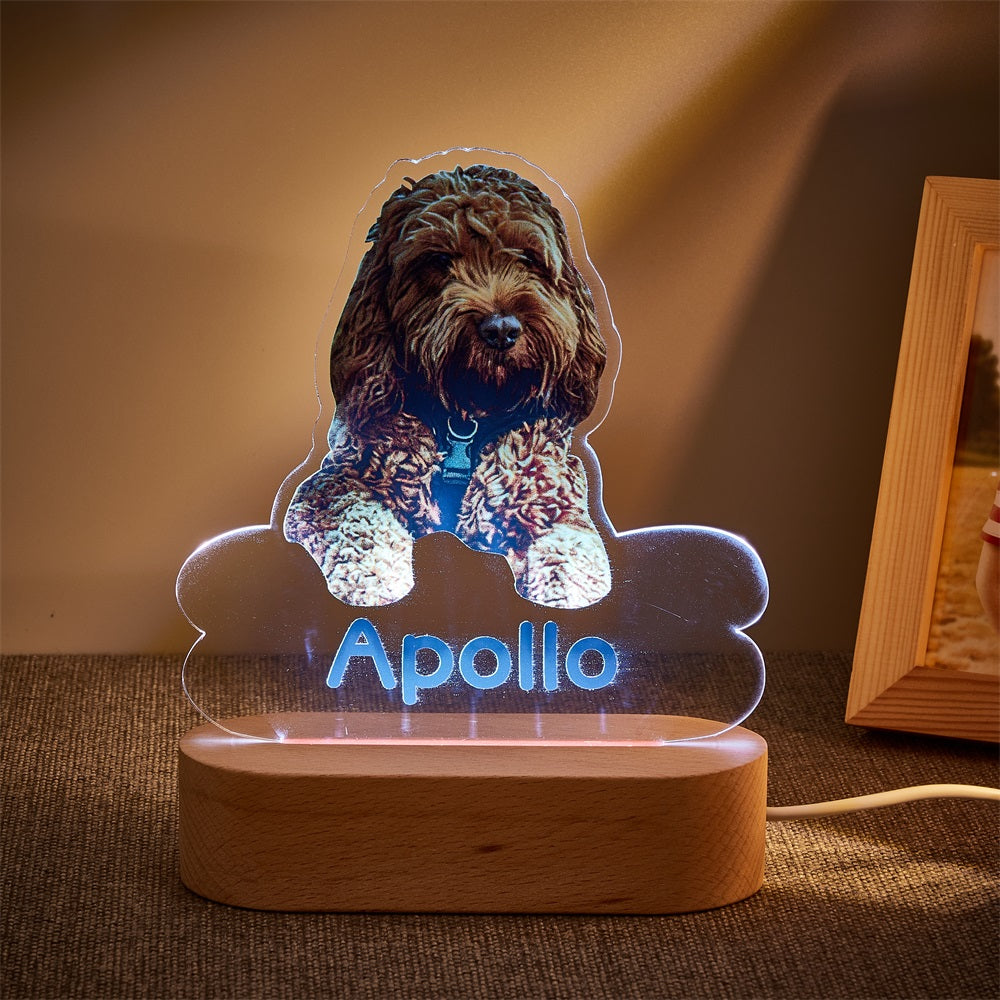 Personalised Pet Shaped LED Night Light Custom Dog Name Table Lamp