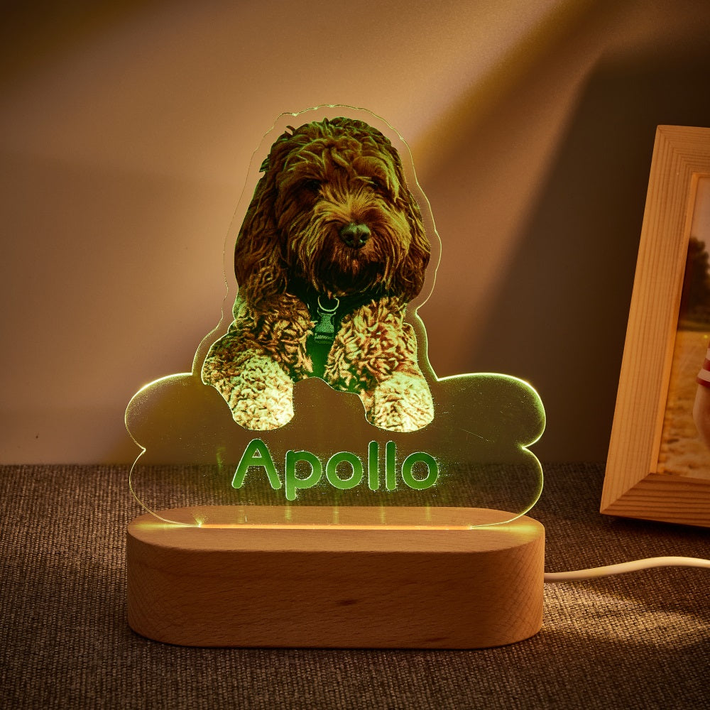Personalised Pet Shaped LED Night Light Custom Dog Name Table Lamp