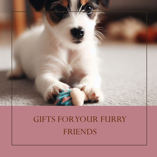 Gifts for Pets Australia | Aussie Personal Gifts - Personal Gifts Australia