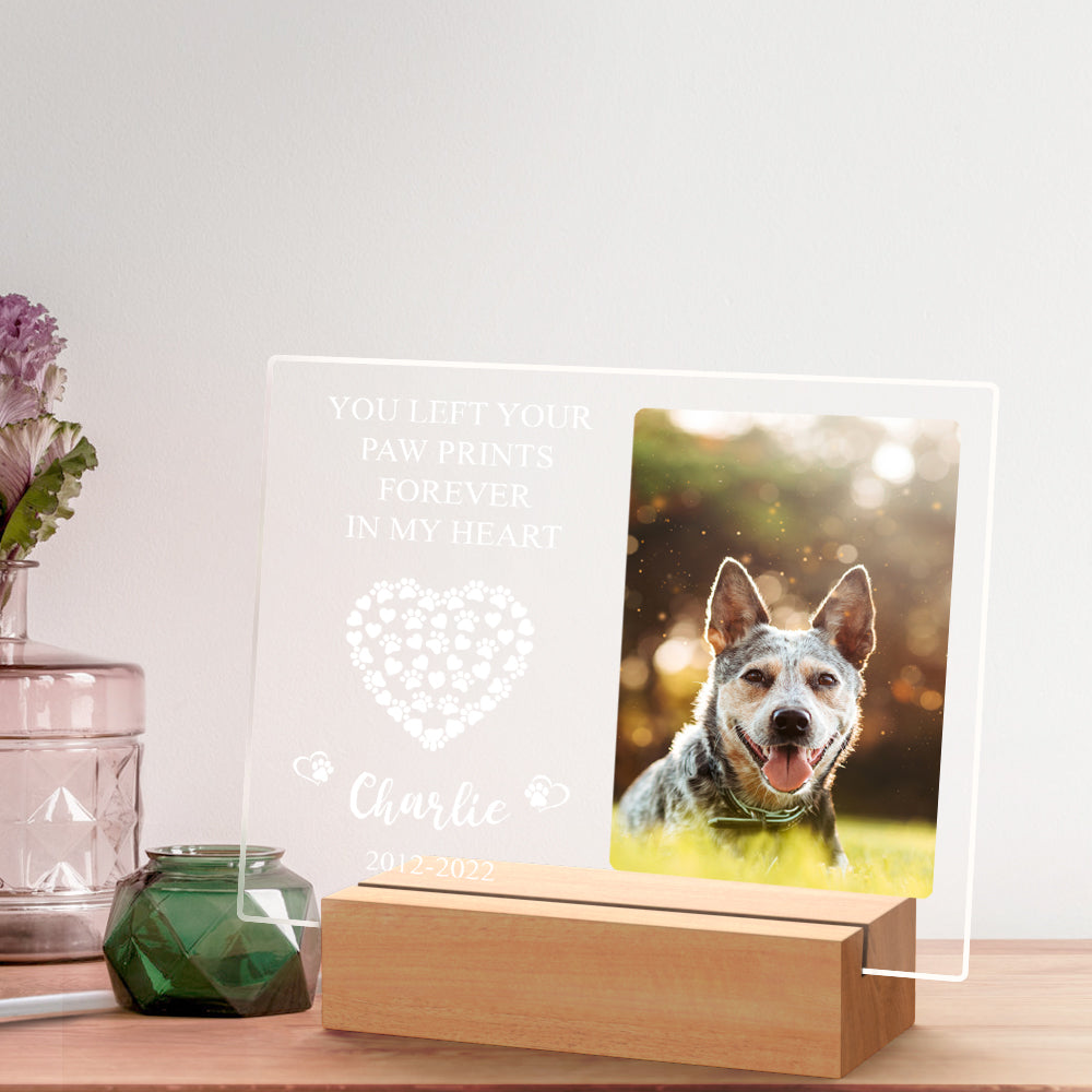 Custom Pet Memorial Night Light Personalised Bedroom Decor