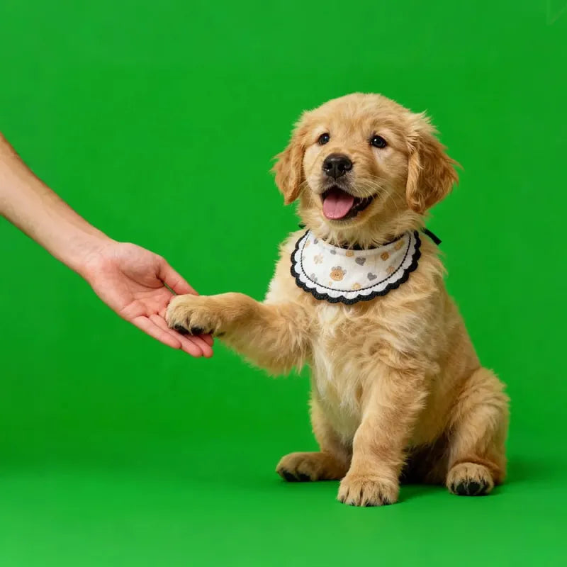 Puppy wearing a bandana sitting on a green background
