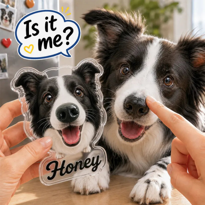 Custom Dog Nose Squishy Fridge Magnet Sticker – Personalised Pet Nose Squeeze Toy with Custom Face & Name
