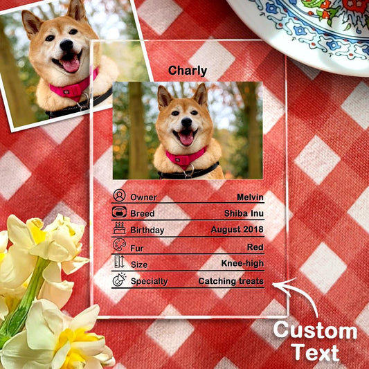 Custom Photo Acrylic Plaque Personalised Pet Information Desk Decorative Ornaments - 12*16cm