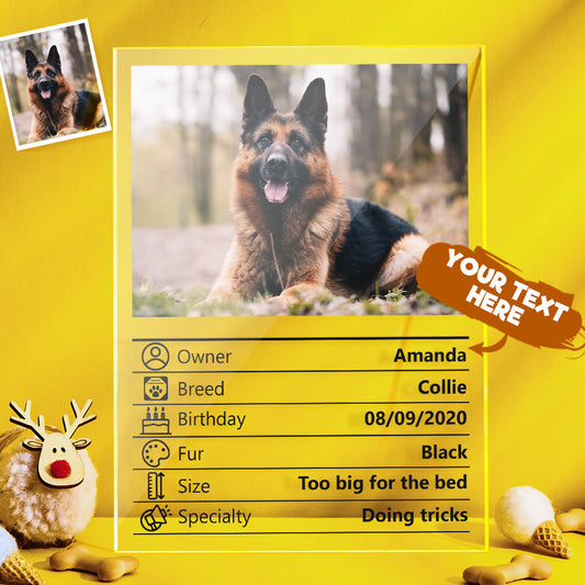 Customised Photo Clear Plaque Personalised Pet Information Acrylic Desktop Decoration