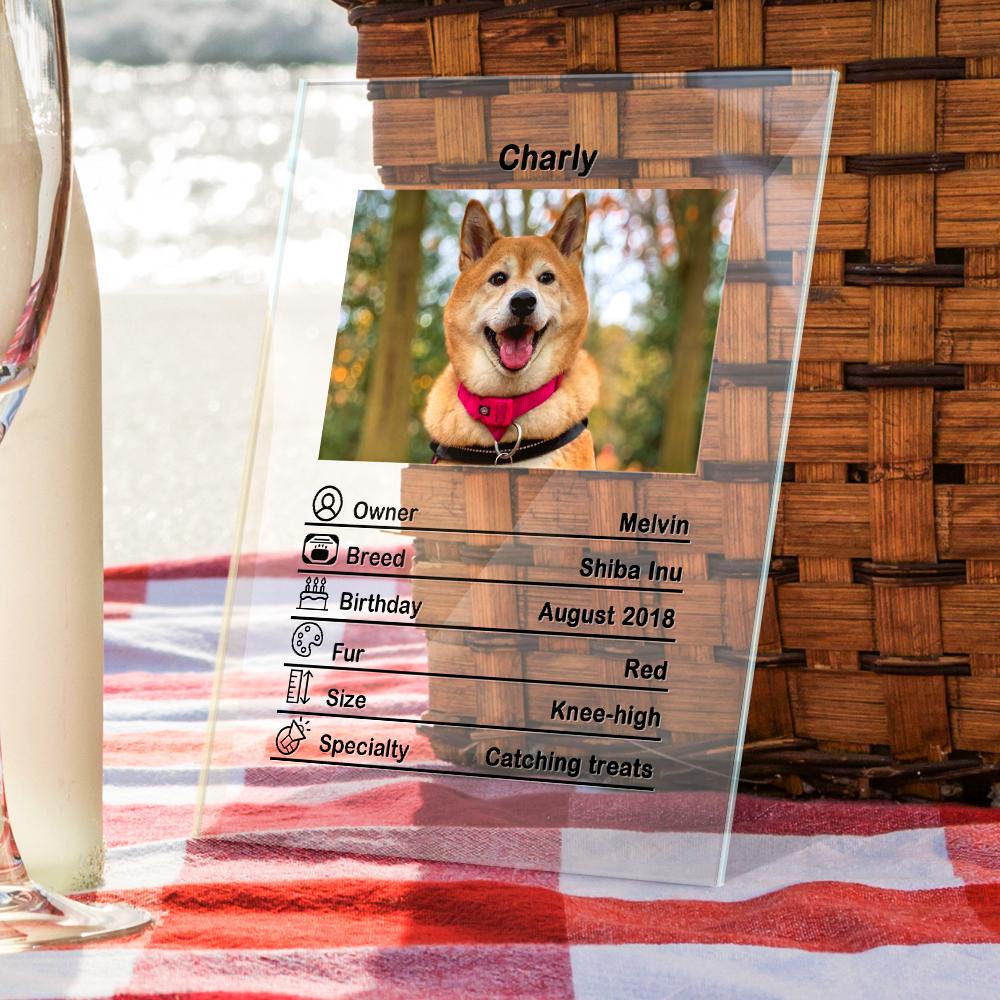 Custom Photo Acrylic Plaque Personalised Pet Information Desk Decorative Ornaments - 12*16cm
